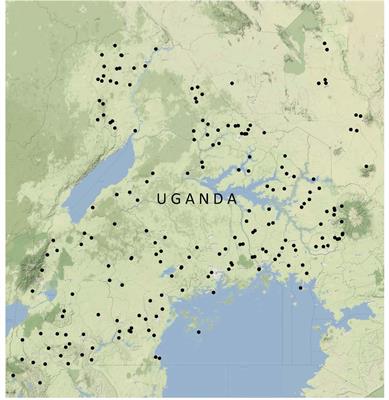 Do Trees on Farms Improve Household Well-Being? Evidence From National Panel Data in Uganda